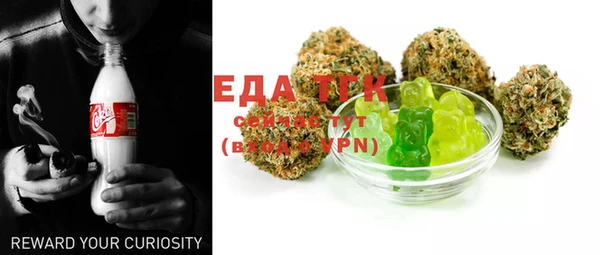 СК Мурманск